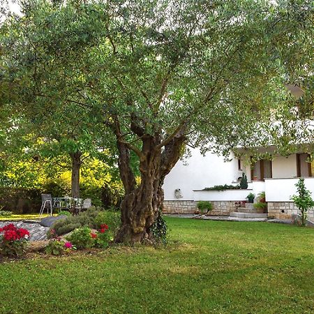 Casa Mareva Otel Poreč Dış mekan fotoğraf